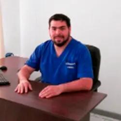 Luis Palominos